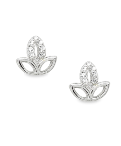 S214238 *SPECIAL OFFER*
